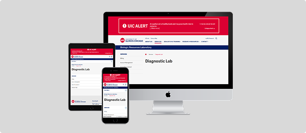 Diagnostic laboratory website development